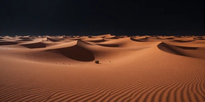 Desert Cyberfrontiers - themed image